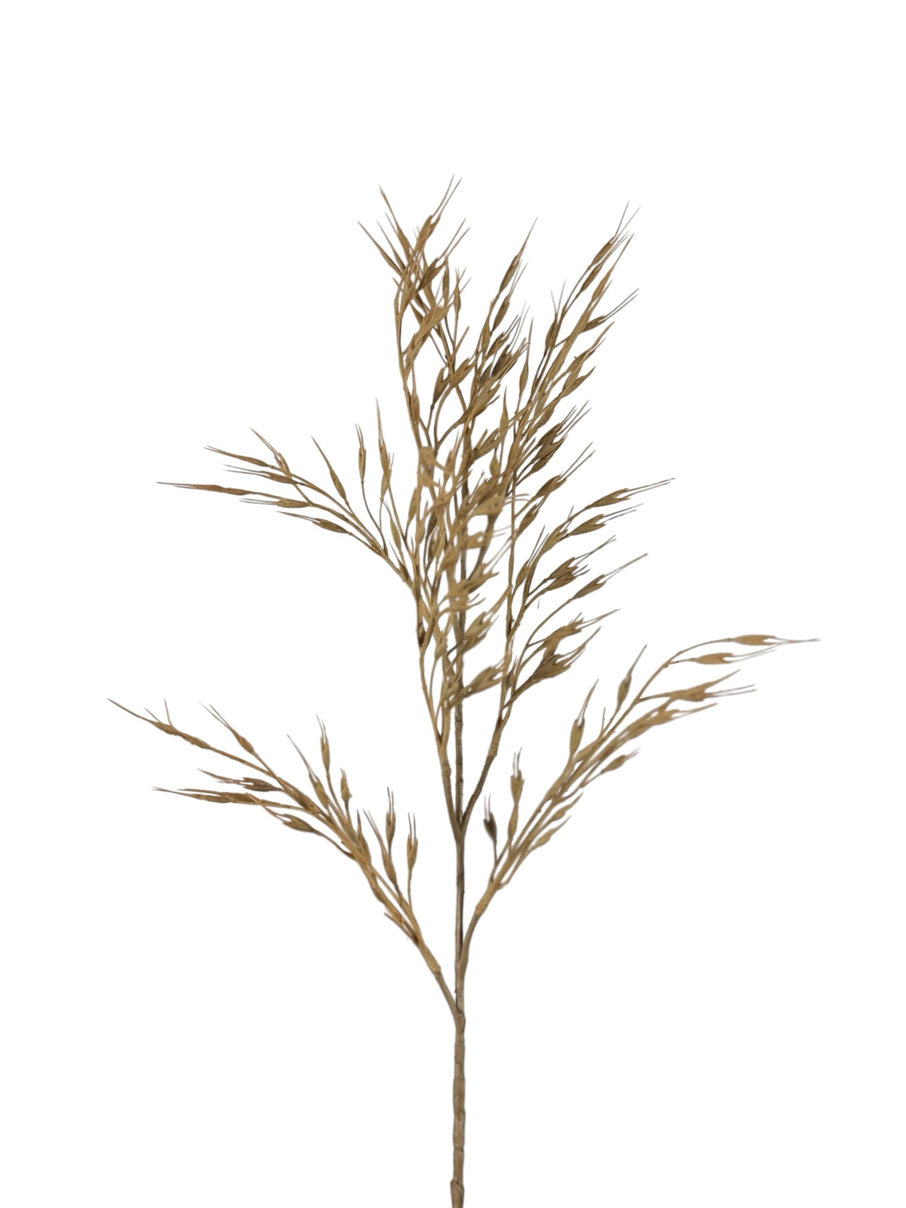 Artificial Bloom decorative dried grass stem in a warm tan hue with wispy, realistic botanical texture.