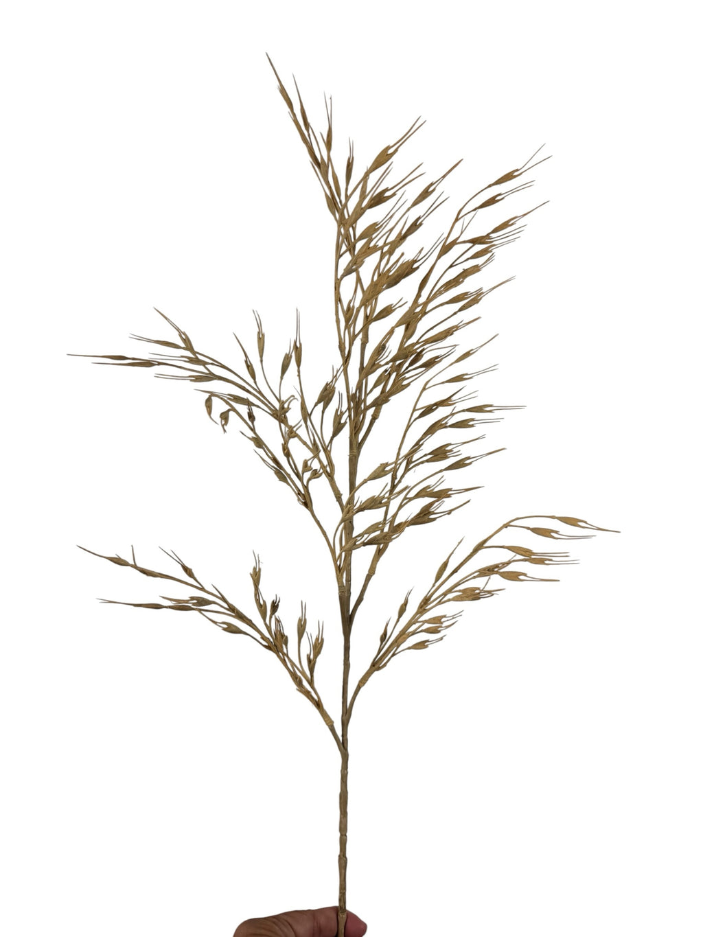 Artificial Bloom tan faux dried grass stem with wispy botanical texture for rustic home decor