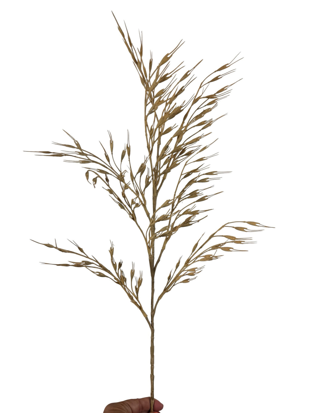 Artificial Bloom tan faux dried grass stem with wispy botanical details for rustic home decor arrangements