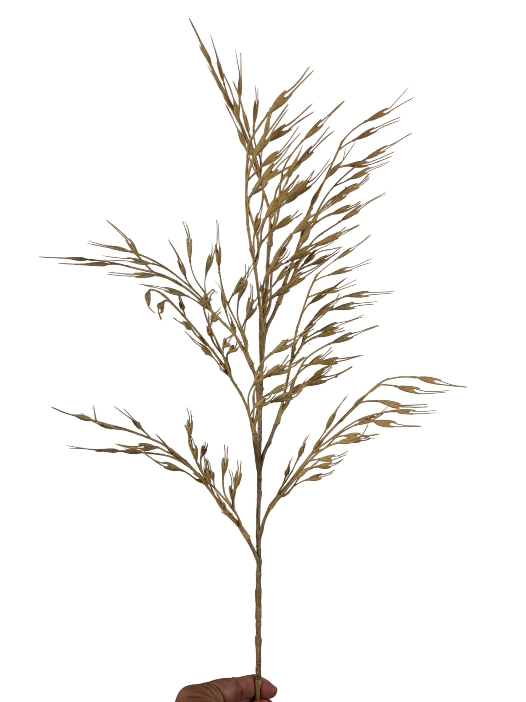 Artificial Bloom tan faux dried grass stem with wispy botanical details for rustic home decor arrangements
