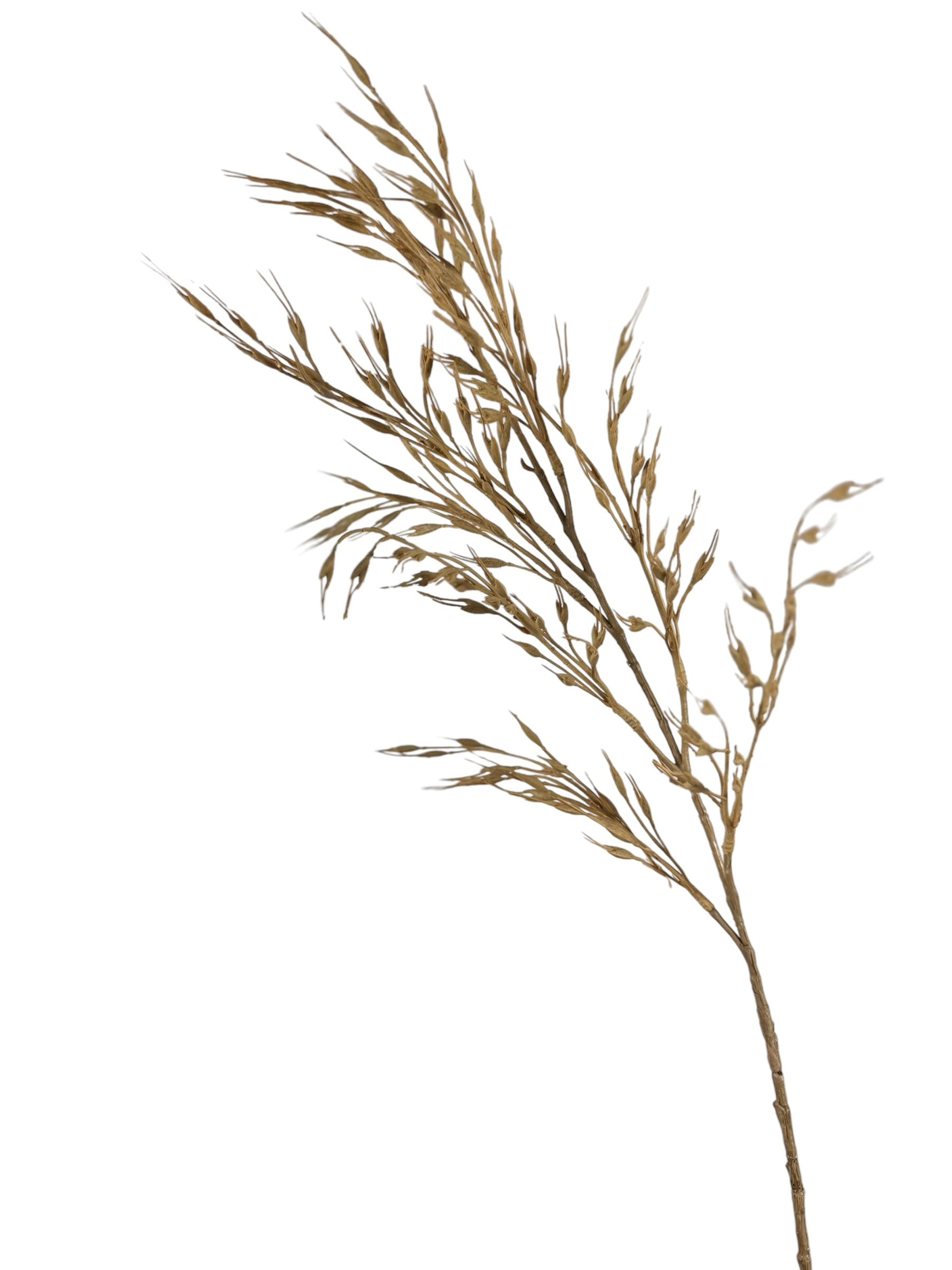 Artificial Bloom decorative dried-look grass stem in a warm tan hue with wispy, realistic botanical texture.