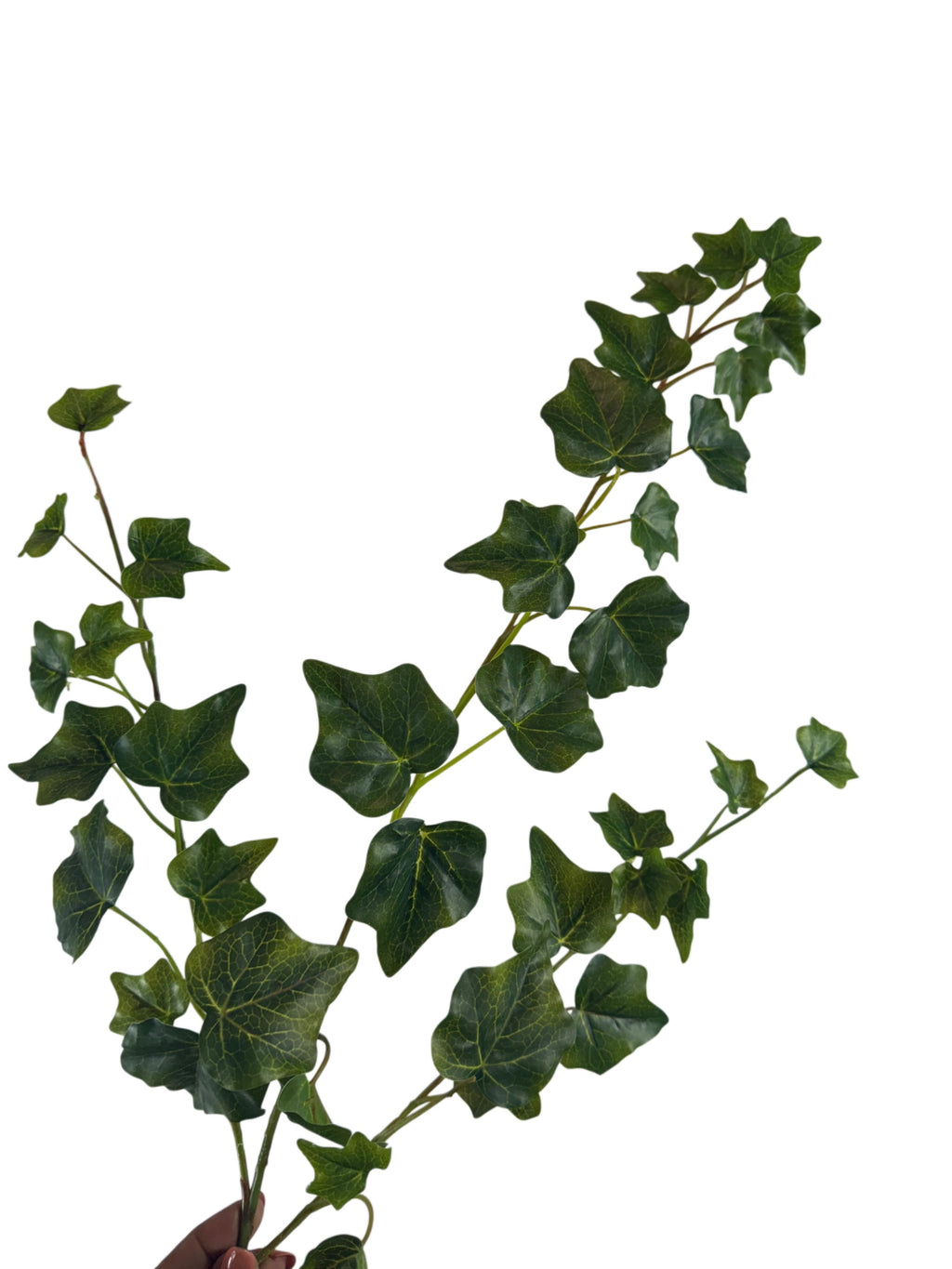 Artificial Bloom trailing ivy decorative stem with realistic deep green leaves and flexible stems for home decor.