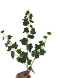 Artificial Bloom trailing ivy decorative stem with realistic green leaves held by a hand against a white background