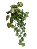Artificial Bloom trailing Watermelon Peperomia plant with vibrant green leaves and silvery-white striped patterns.