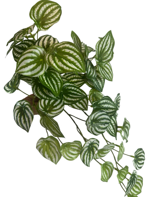 Artificial Bloom trailing Watermelon Peperomia plant with vibrant green leaves and detailed silvery-white stripes.