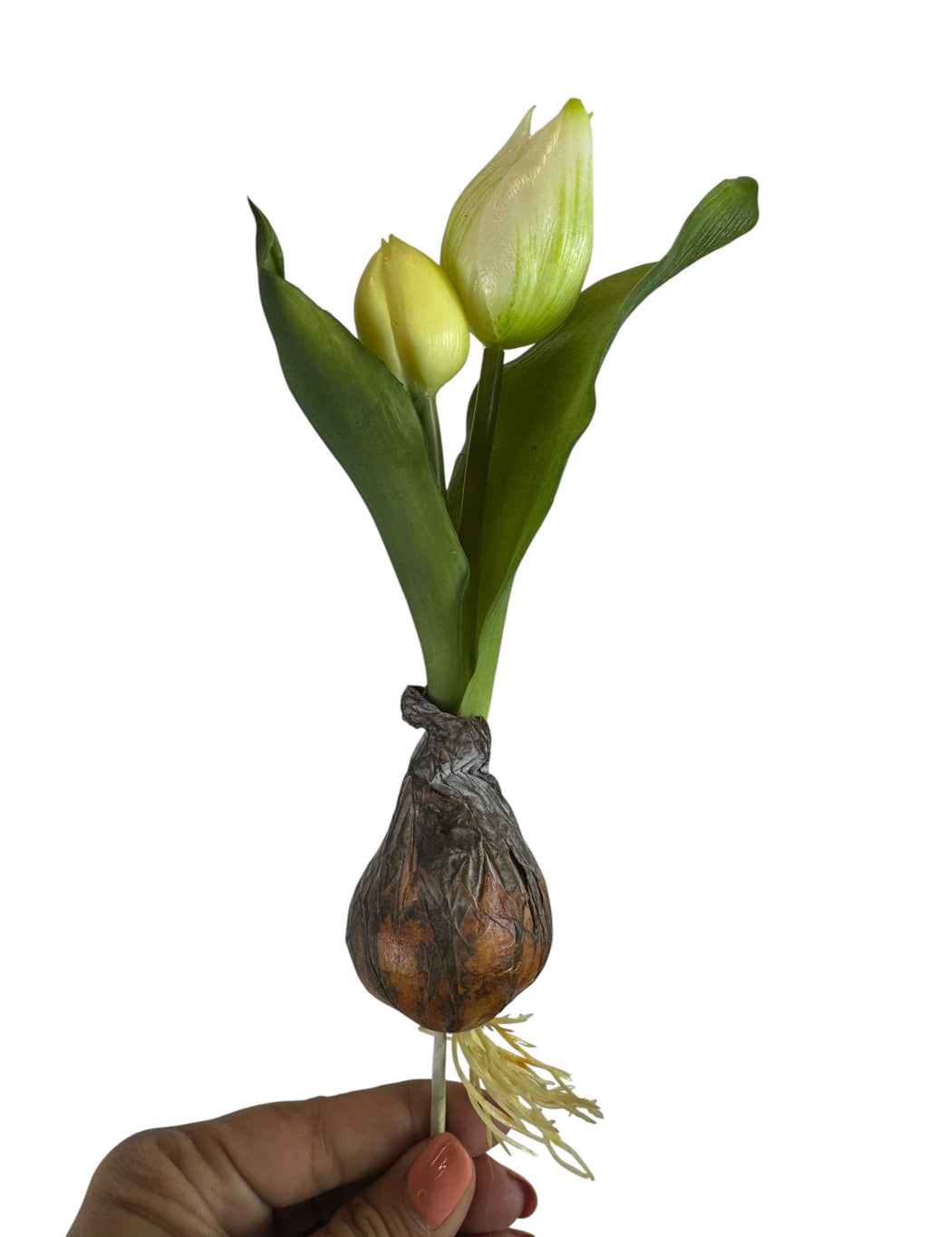 Artificial Bloom realistic tulip bulb stem with creamy white buds, green leaves, and textured earthy root base.