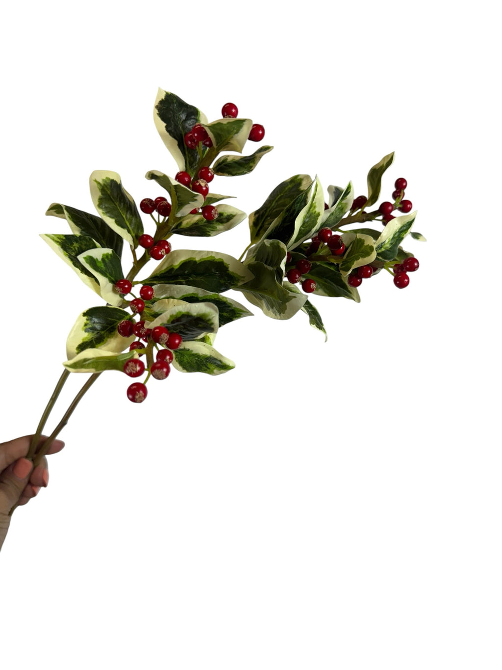 Artificial Bloom decorative holly berry stem with variegated green and white leaves and glossy red berries