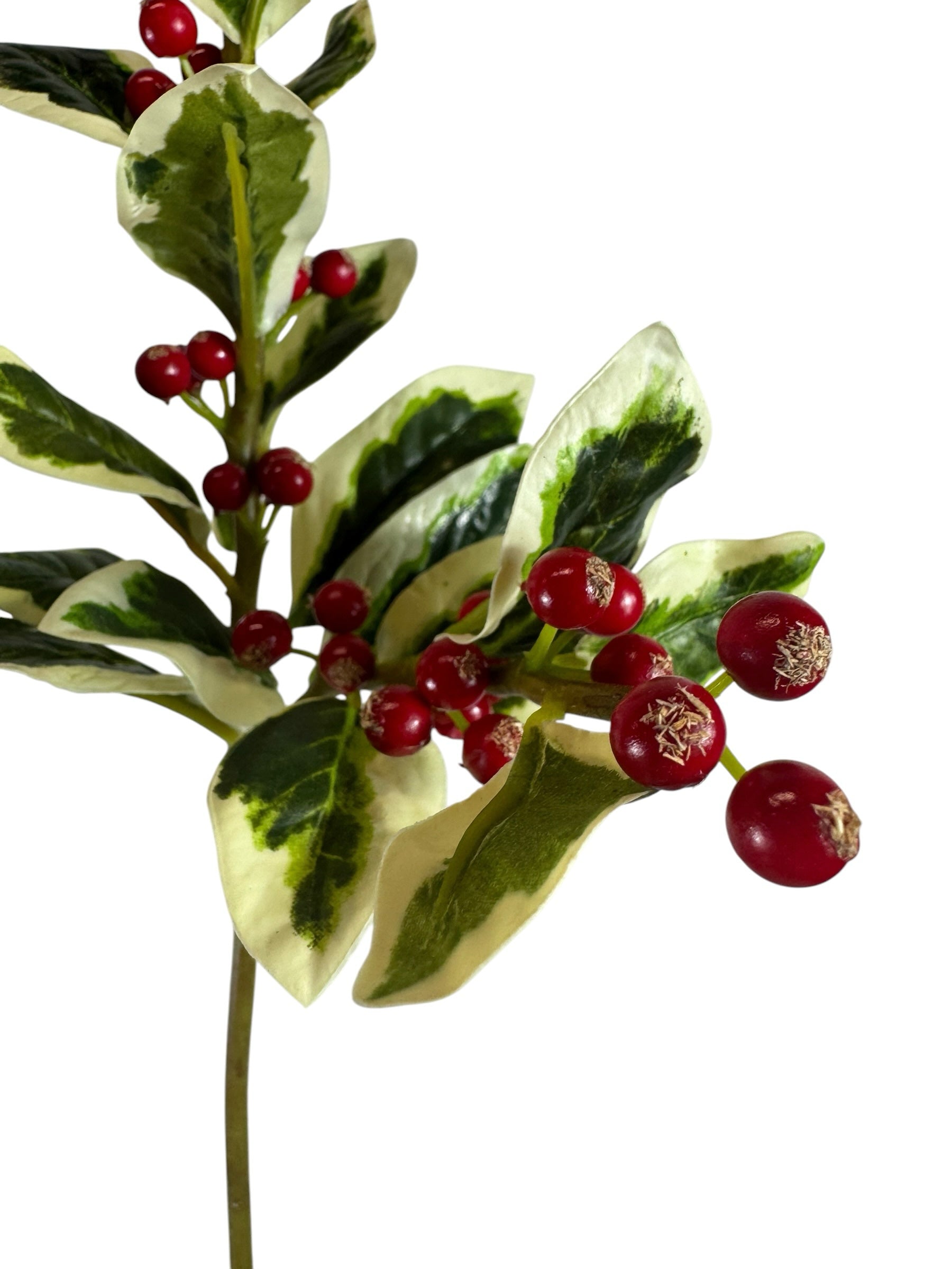 Artificial Bloom artificial holly berry stem with variegated green and white leaves and glossy red berries