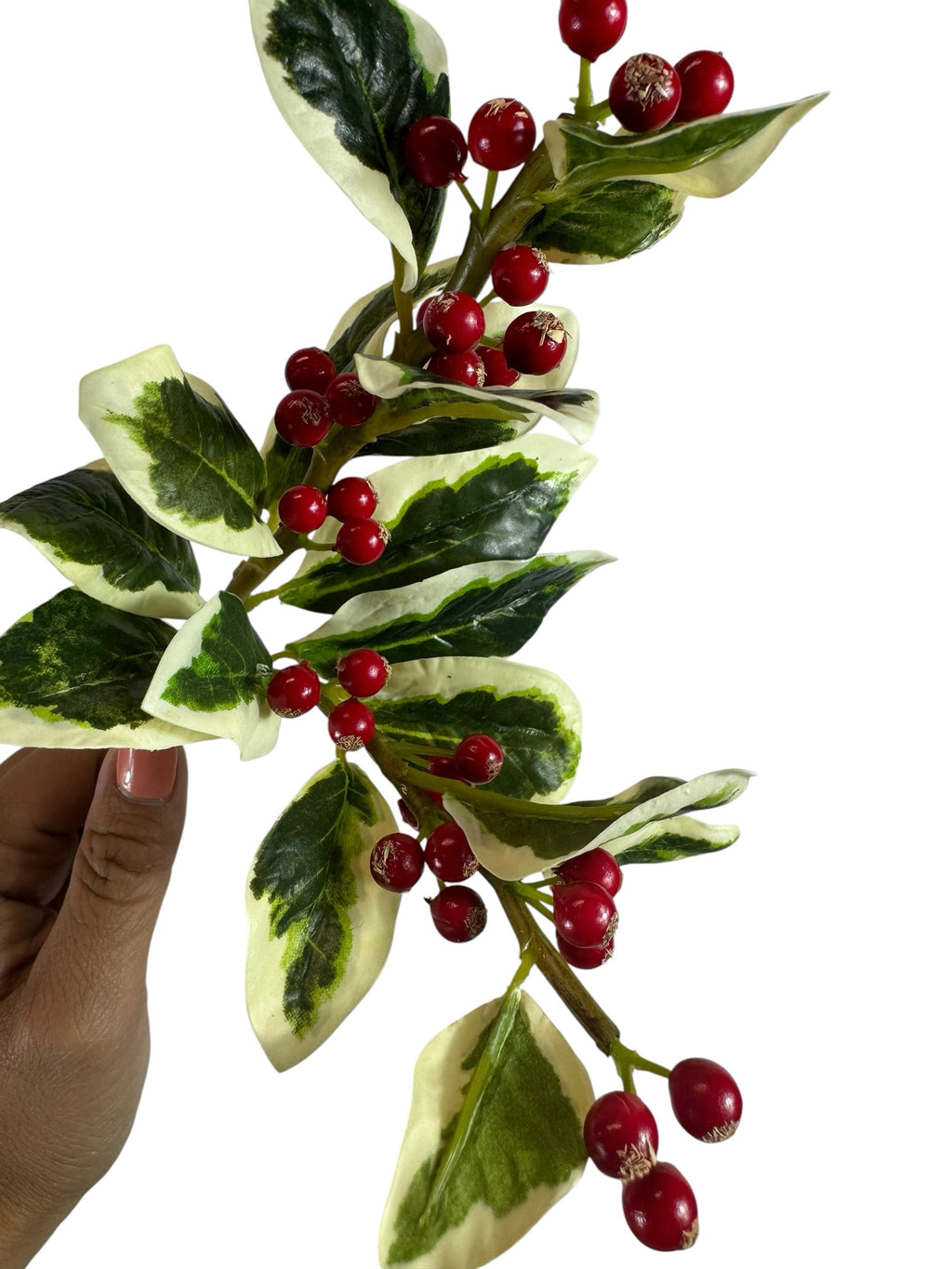 Artificial Bloom artificial holly berry stem with variegated green and white leaves and glossy red berries