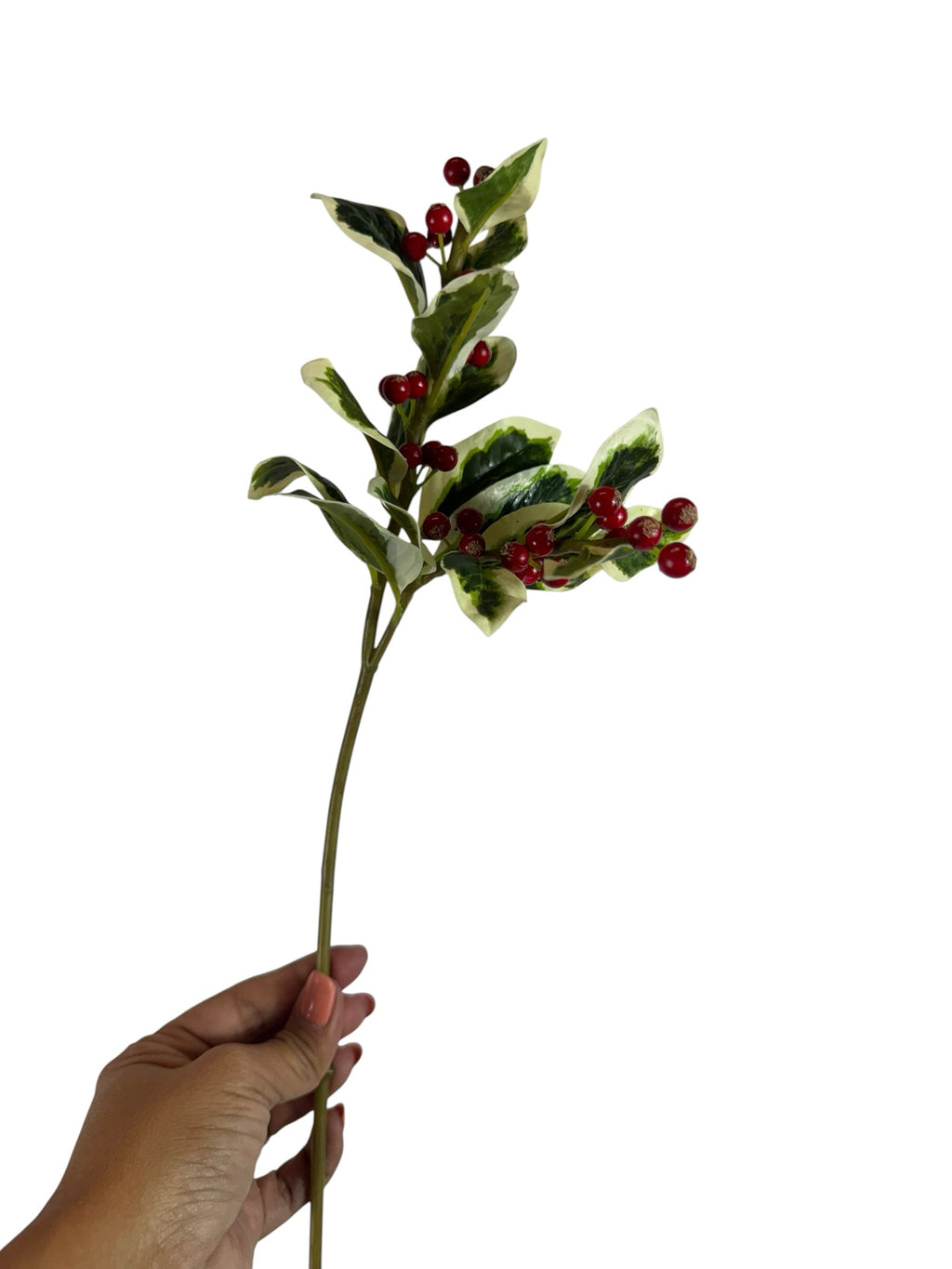 Artificial Bloom decorative holly berry stem with variegated green and white leaves and glossy red berries