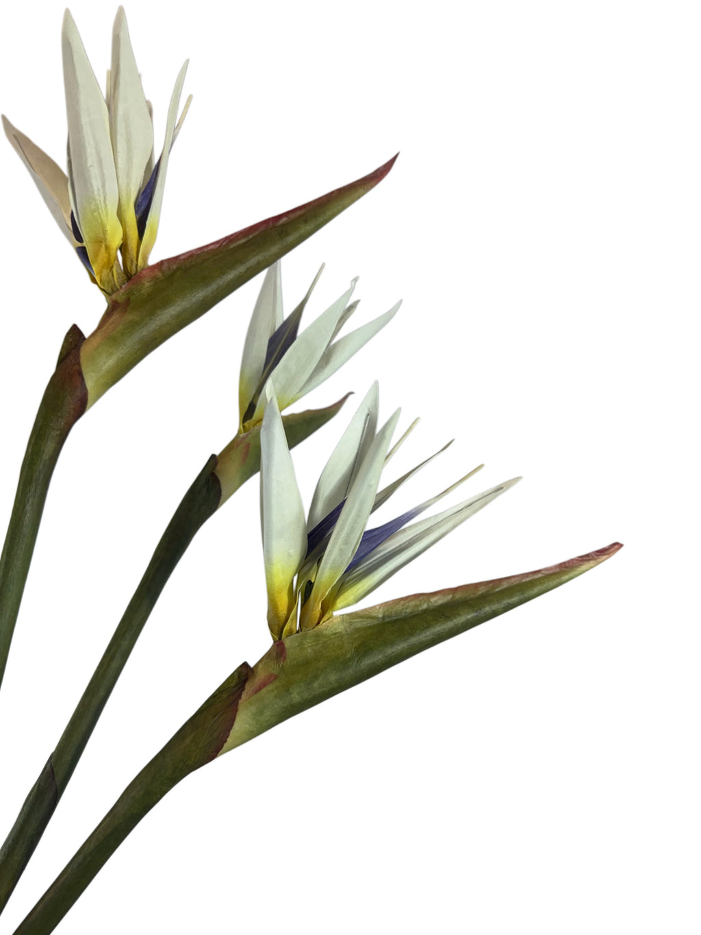 Artificial Bloom set of three white Bird of Paradise floral stems with violet centers and green stalks