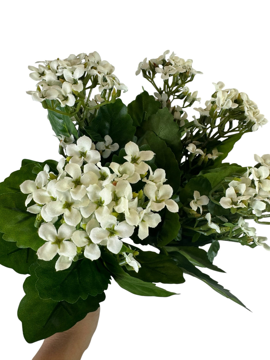 Artificial Bloom artificial Kalanchoe bouquet with creamy white fabric flowers and deep green leaves on white background