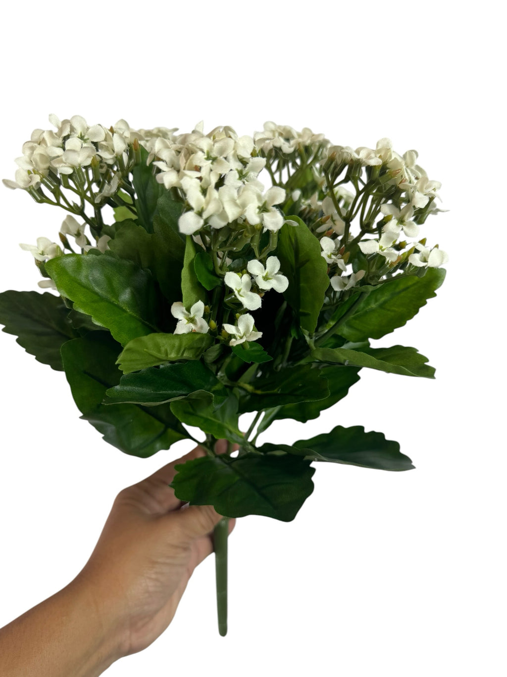 Artificial Bloom creamy white Kalanchoe flower bouquet with realistic green leaves held in a hand