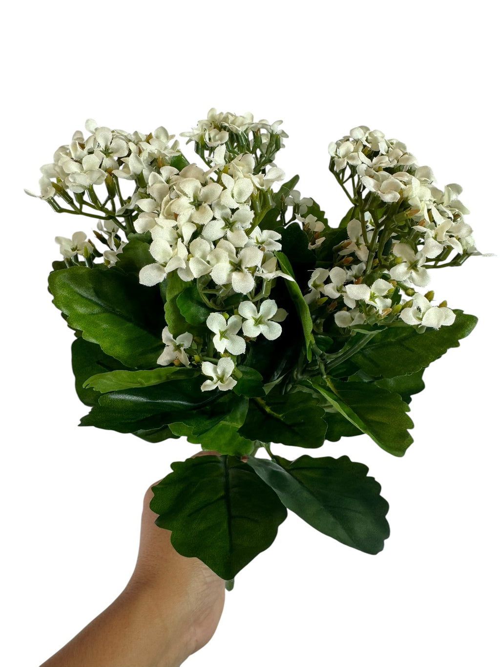 Artificial Bloom artificial Kalanchoe bouquet with creamy white fabric flowers and deep green leaves held in a hand