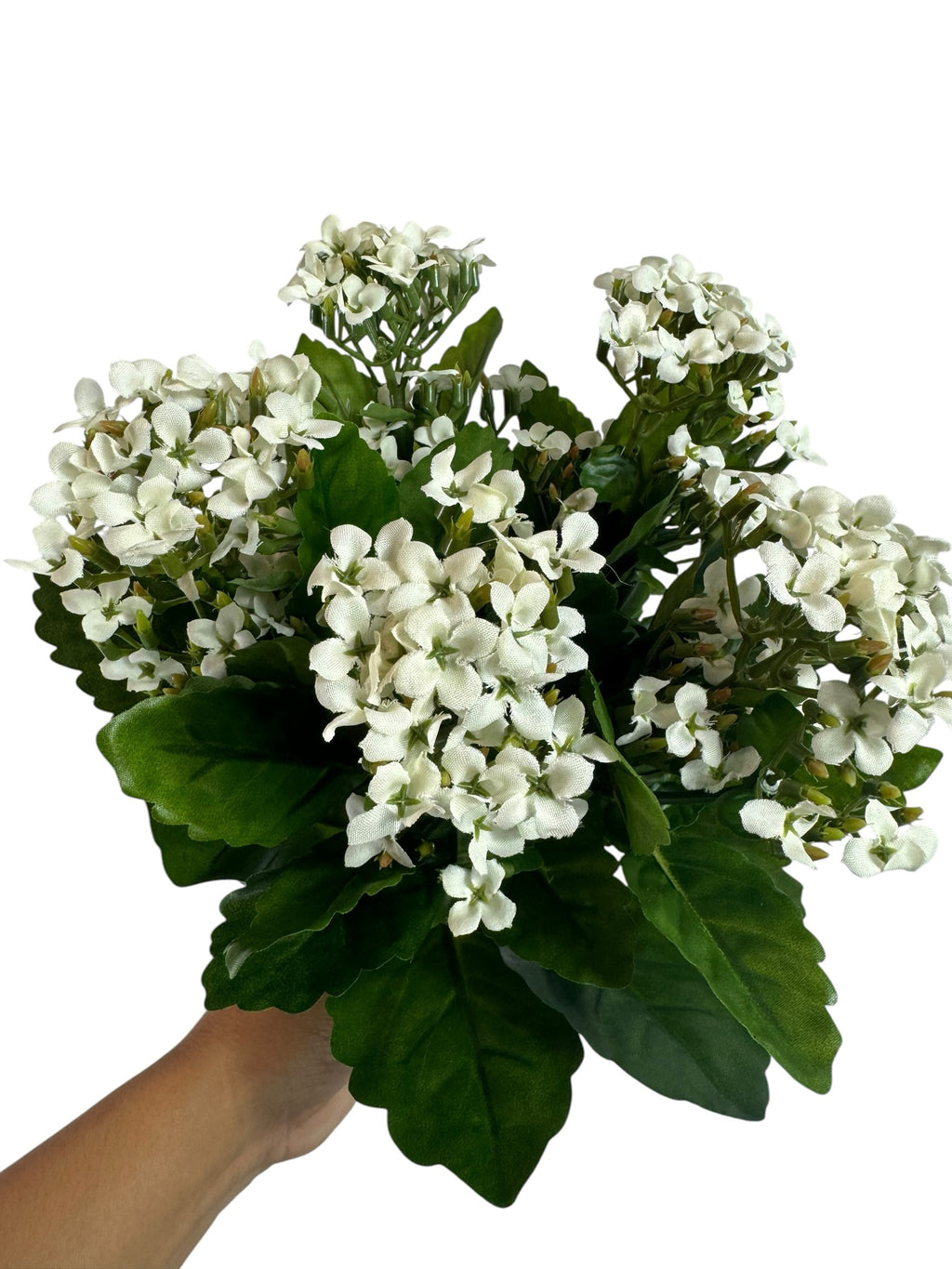 Artificial Bloom artificial Kalanchoe bouquet with creamy white fabric flowers and realistic deep green leaves