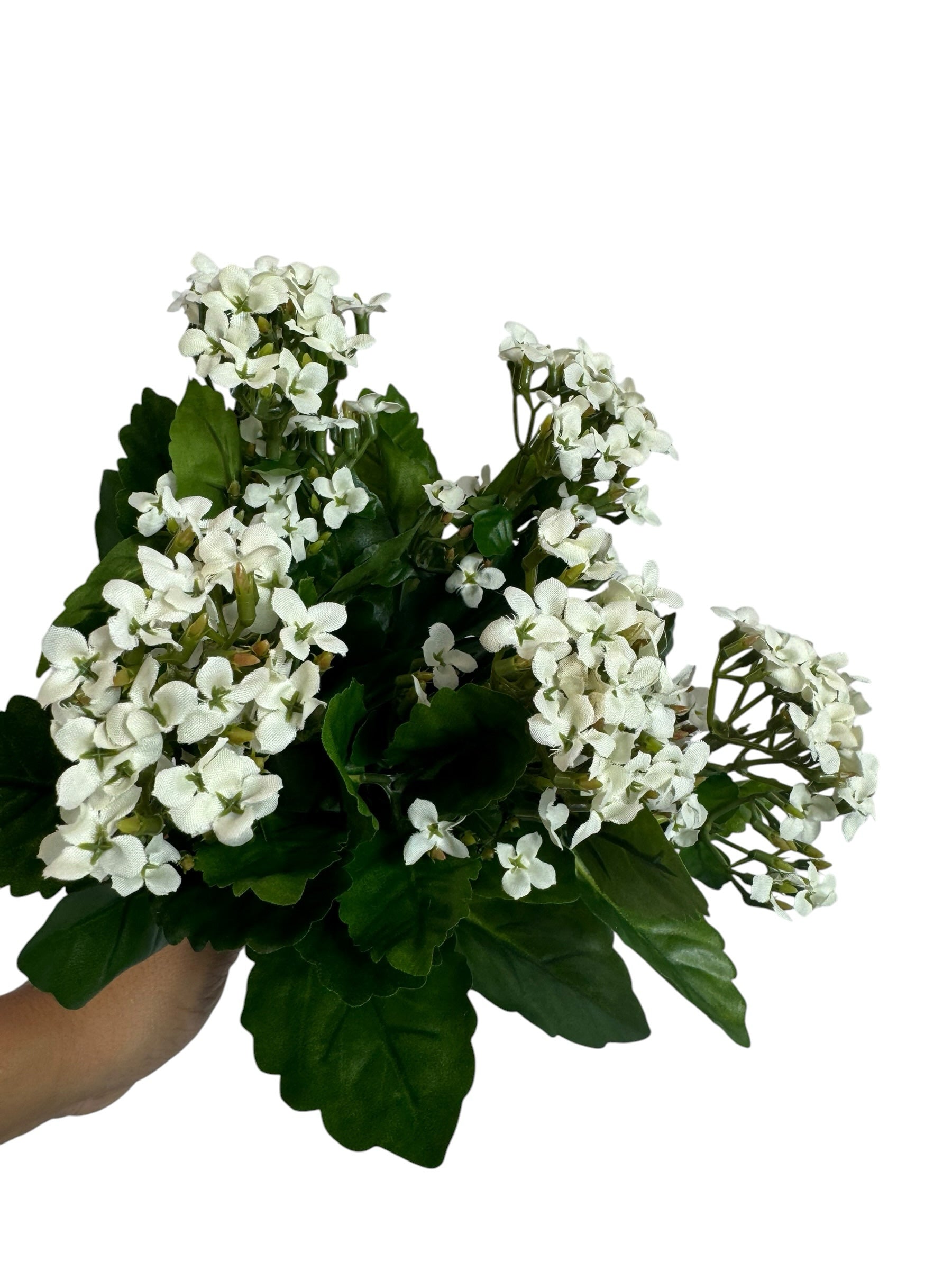 Artificial Bloom artificial Kalanchoe bouquet with creamy white fabric flowers and deep green leaves on white background
