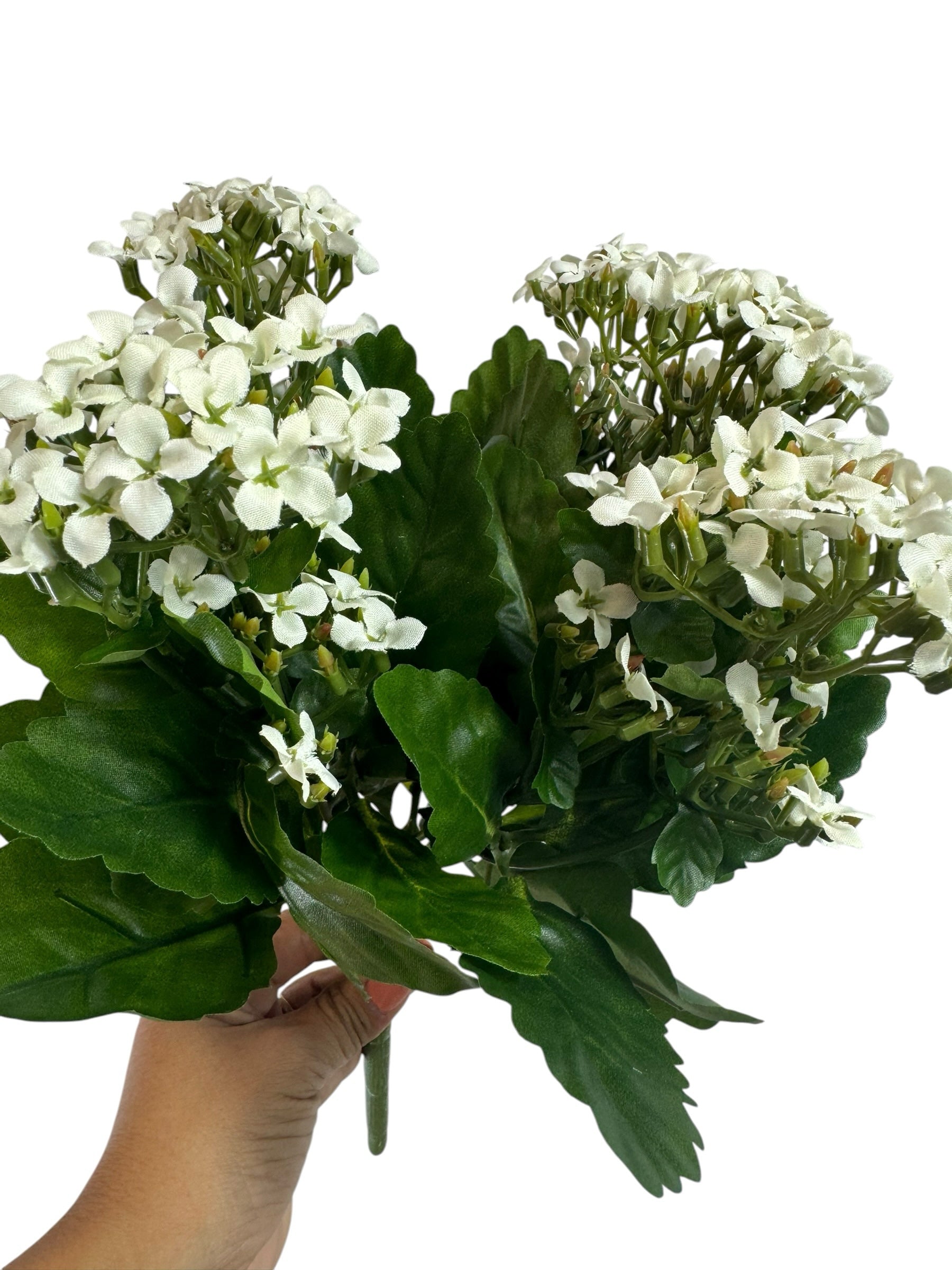 Artificial Bloom artificial Kalanchoe flower bouquet with creamy white blossoms and deep green leaves held by a hand.