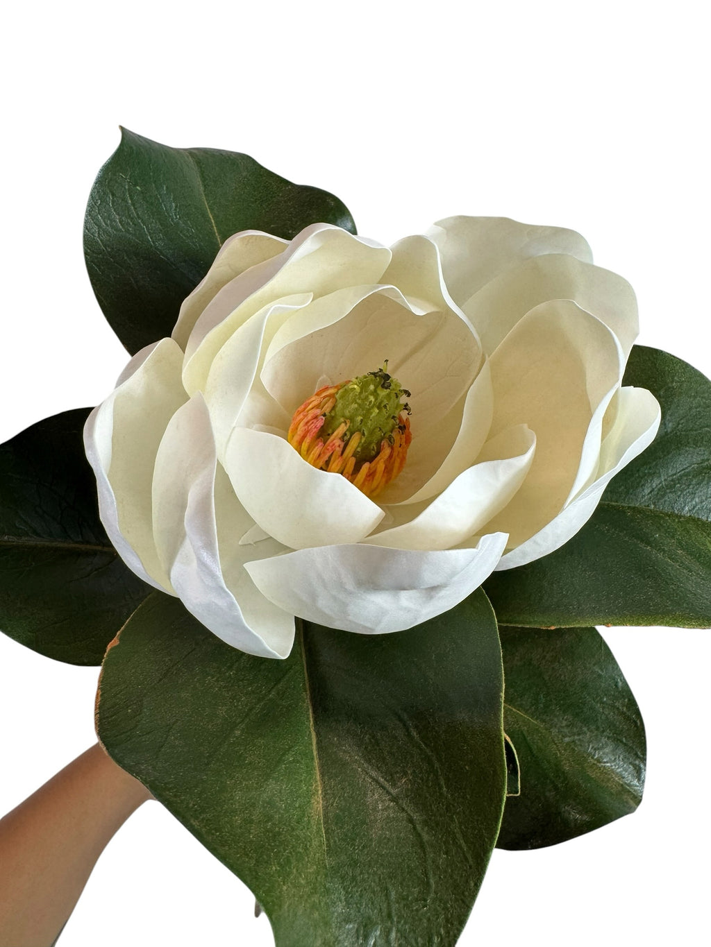 Artificial Bloom artificial magnolia stem with a creamy white flower and glossy green leaves on a white background