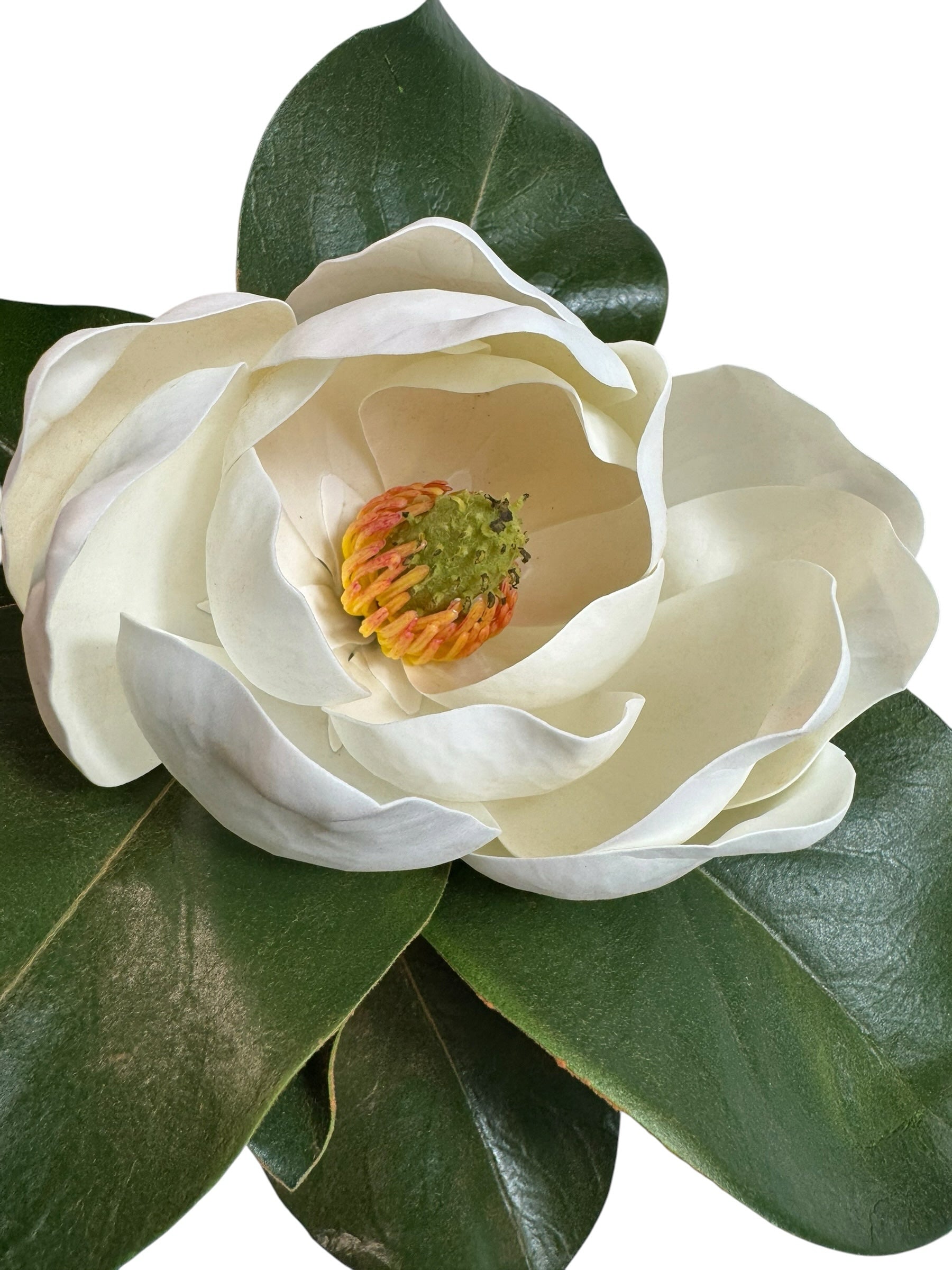 Artificial Bloom artificial magnolia flower stem with creamy white petals and glossy green leaves on a white background