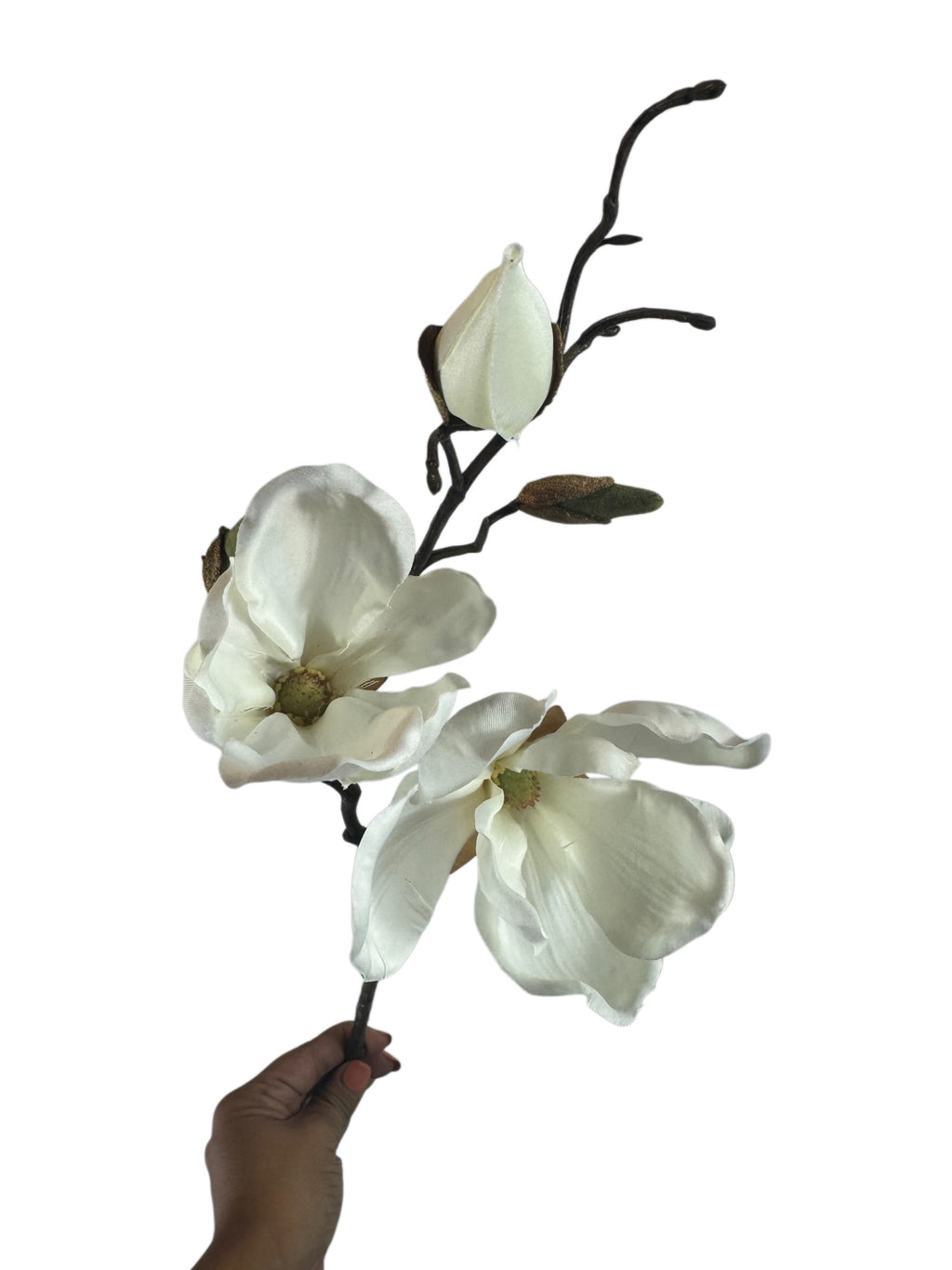 Artificial Bloom decorative magnolia stem with two creamy white fabric flowers and realistic buds on a brown branch.