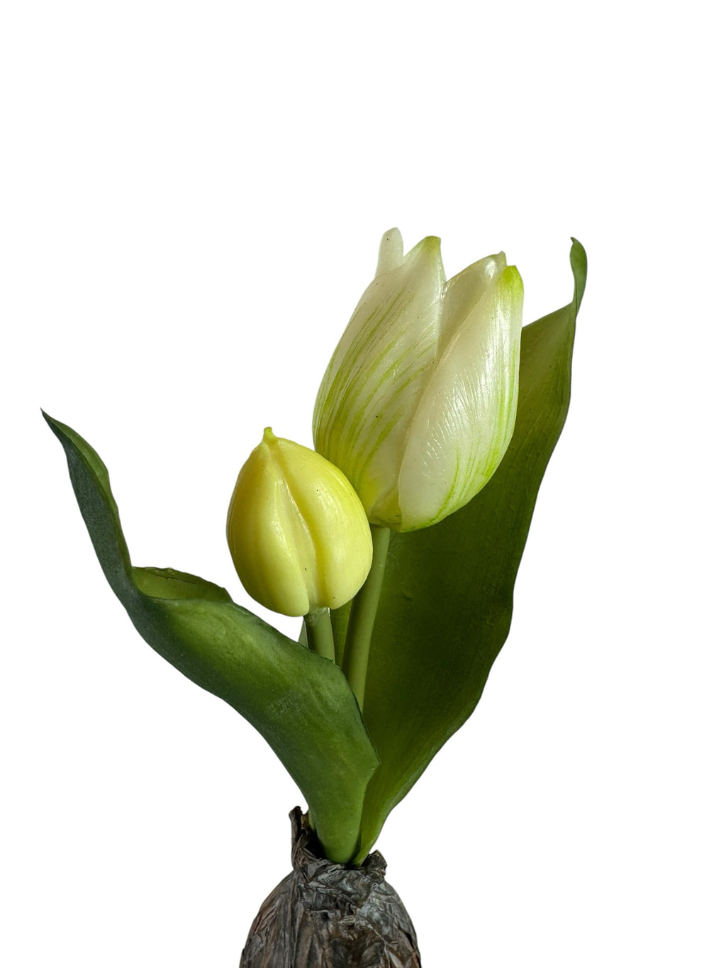 Artificial Bloom creamy white tulip bulb stem with realistic green leaves and textured bulb base on white background