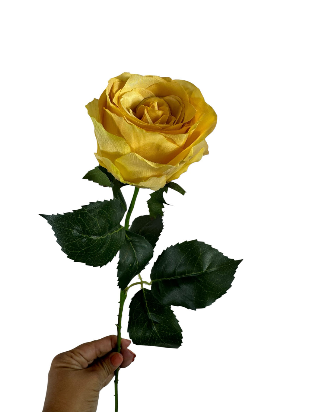 Artificial Bloom yellow silk rose stem with realistic green leaves held against a white background