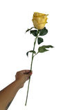 Artificial Bloom yellow silk rose stem with realistic green leaves held by a hand against a white background