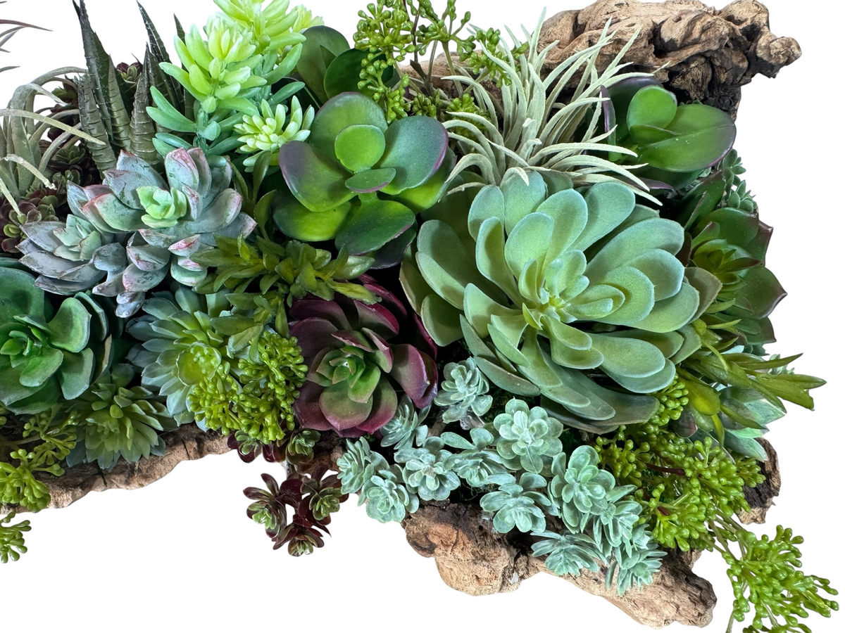 21.5" Long Faux Succulent Arrangement in Grape Wood Log