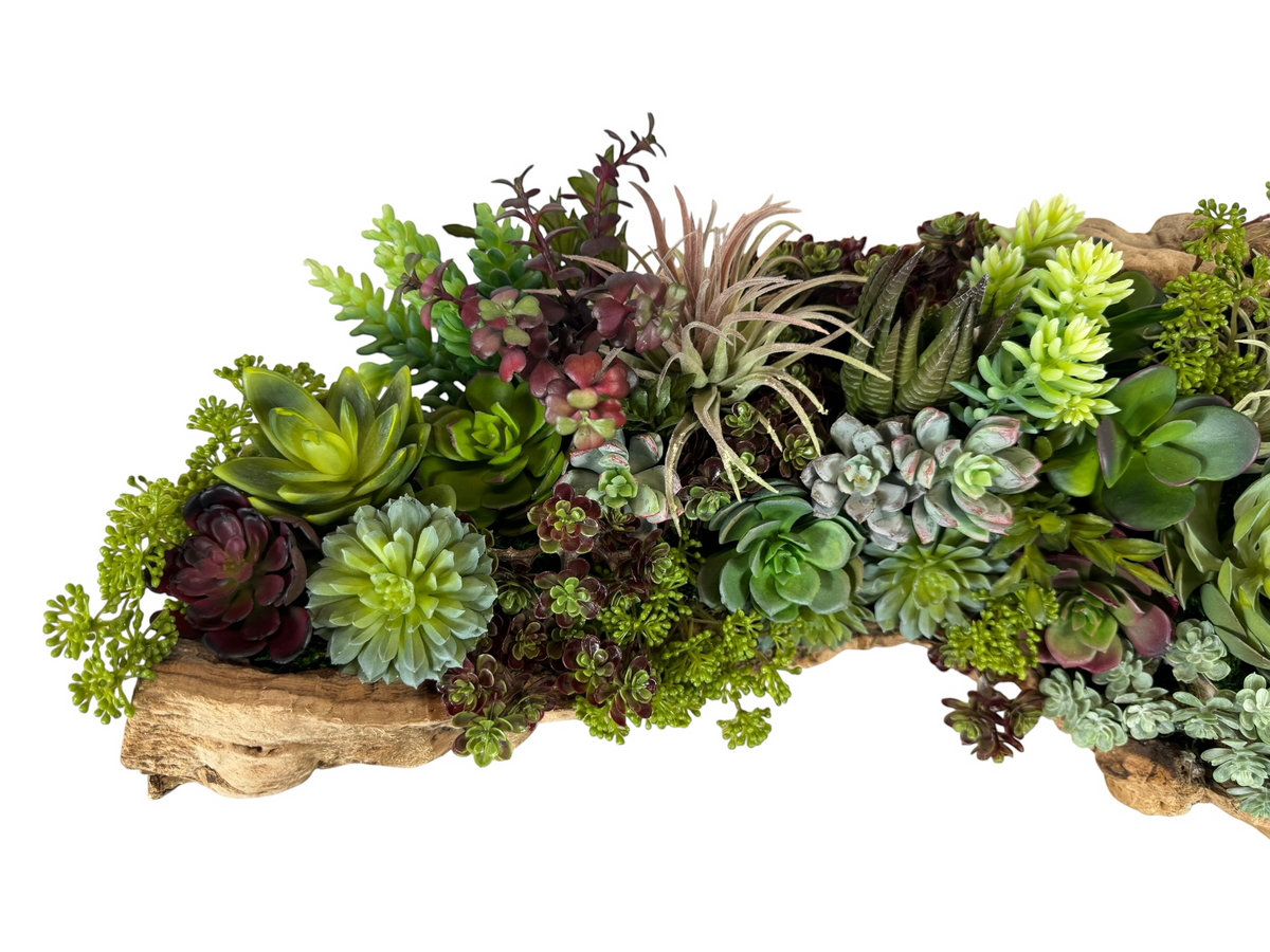 21.5" Long Faux Succulent Arrangement in Grape Wood Log